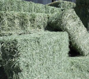 "Alfalfa Hay Bulk Supply Wholesale Premium Animal Feed Best Quality Factory Price Livestock Feed"