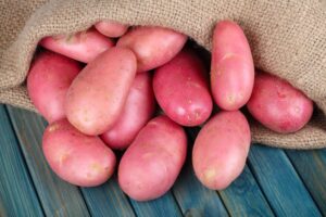 Best Quality Russet Potatoes Bulk Supply Fresh Farm Direct Premium Grade Wholesale Hot Selling