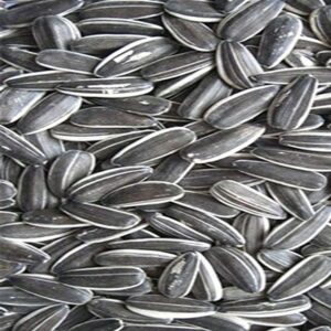 Bulk Natural Sunflower Seeds For Sale Online, Premium Quality Raw Sunflower Kernels, Wholesale Factory Price Supplier