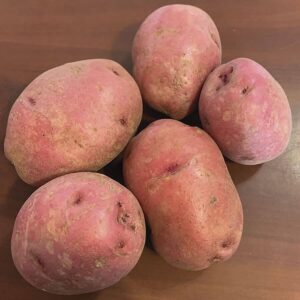 "Bulk Red Potatoes Wholesale Suppliers Premium Farm Fresh Quality Natural Vegetables For Retail & Export"