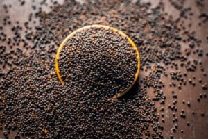 Factory Price Bulk Mustard Seeds Wholesale Yellow, Black & Brown Seeds For Spice Trade, Oil Extraction & Food Use