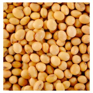 Factory Supply Non-GMO Soybeans | Bulk Wholesale Natural Soybean With High Nutritional Value