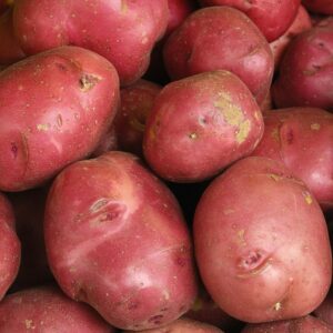 "Fresh Red Potatoes Wholesale Suppliers Direct From Farms Premium Quality Bulk Vegetables For Export"