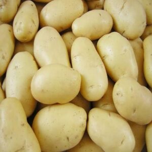 Fresh Yellow Potatoes Bulk Hot Selling Wholesale Premium Quality Farm Fresh Natural Yellow Potato