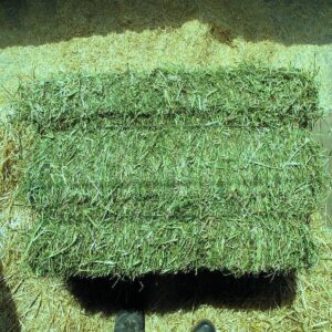 "High Quality Alfalfa Hay Bulk Wholesale Supplier Premium Animal Feed Factory Price Best For Livestock"