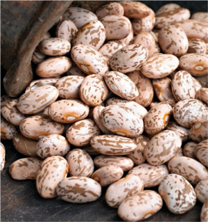 High Quality Pinto Beans Wholesale Suppliers | Bulk Factory Price Dry Pinto Beans For Export & Global Buyers