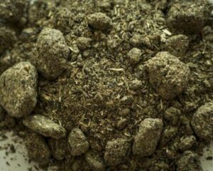 High Quality Sunflower Meal Protein Feed For Livestock | Bulk Wholesale Sunflower Seed Meal Factory Price