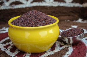 Hot Selling Bulk Mustard Seeds Organic Yellow, Brown & Black Varieties, Wholesale Price