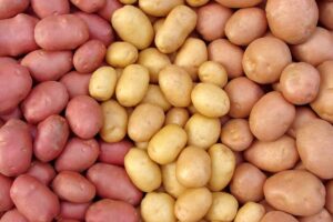 Hot Selling Fresh Russet Potatoes Wholesale Bulk Farm Fresh High Quality Organic Grade A Factory Price
