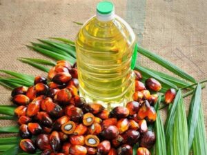 Premium Bulk Crude Palm Oil Buy Online From Trusted Supplier, Best Wholesale Price, Fast And Safe Delivery