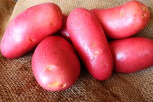 "Premium Red Potatoes Wholesale Suppliers Fresh, Natural Farm Produce High Quality Bulk Supply Worldwide"
