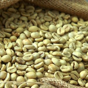 Raw Bulk Coffee Beans Arabica & Robusta Green Coffee Beans Wholesale Fresh High Quality Coffee Beans For Roasting
