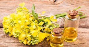 Top Grade Mustard Oil Wholesale Suppliers Bulk Cold Pressed Edible Cooking Oil Best Quality Export Worldwide