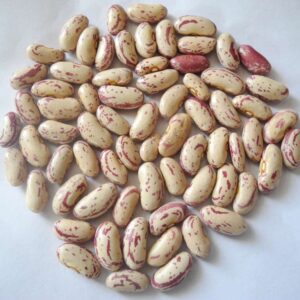 Trusted Pinto Beans Wholesale Suppliers | Organic Bulk Pinto Beans Factory Price For Retailers & Distributors