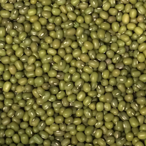 Wholesale Bulk Green Mung Beans | Premium Quality Natural Green Moong Beans | Buy Online | Best Factory Price