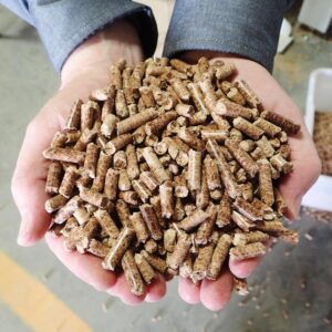 High Quality Biomass Wood Pellets Bulk Supply | Best Price Eco Friendly Wholesale Energy Fuel Manufacturers